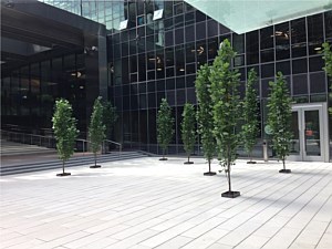 Large Scale CalArc Pavers 60