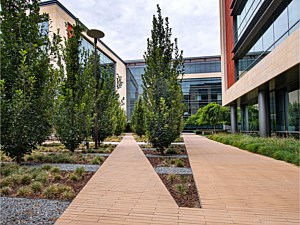 Narrow Modular Pavers 15