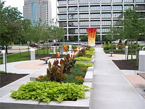 Narrow Modular Pavers 36