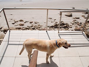 Dekstone&reg; Pavers 21