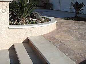 Modern Garden Step 5