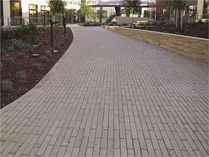 Narrow Modular Pavers 45