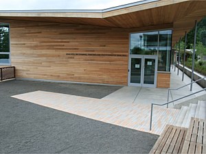 Narrow Modular Pavers 61