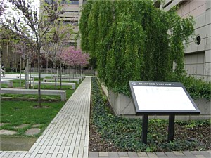 Narrow Modular Pavers 64