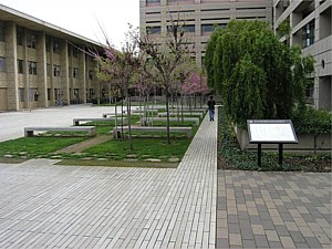 Narrow Modular Pavers 103