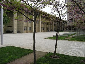 Narrow Modular Pavers 107