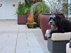 Dekstone&reg; Pavers 1