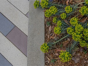 Large Scale CalArc Pavers 34