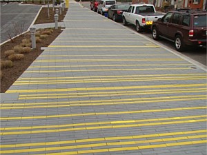 Narrow Modular Pavers 74
